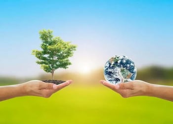 Environmental Advocacy
