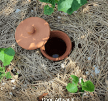 Olla oya oyat enterrée avec couvercle et paillage