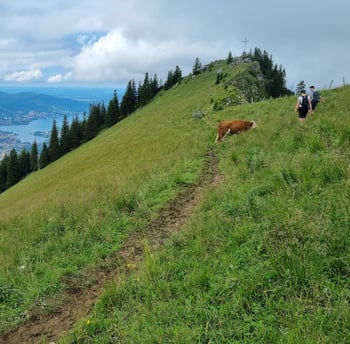 bodenschneid grat gipfel tegernsee