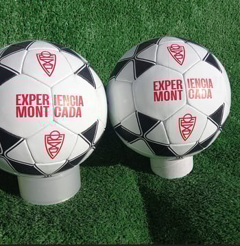 Pelota nro 5 personalizada