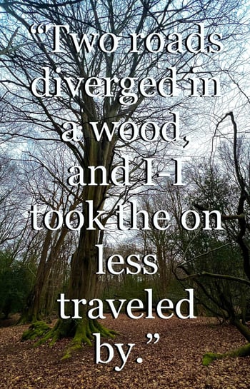 forest travel qoute "two roads diverged in a wood, and I-I took the on less traveled by"