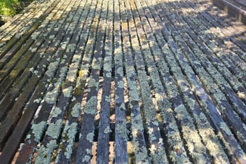 Deck before power wash
