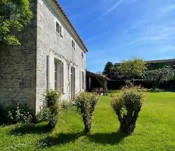vue de la métairie extérieur avec soleil et osier