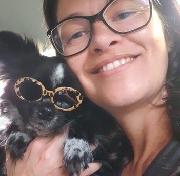 canil de chihuahua