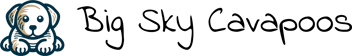 Big Sky Cavapoo logo