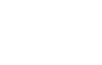 EcommIdea logo