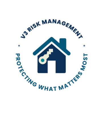 V3 RISK MANAGEMENT logo