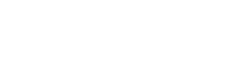 MS InfoSolutions logo