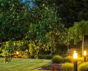 Outdoor lighting in landscape design in Williamsburg VA