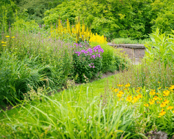 Rain Garden landscaping design Williamsburg VA