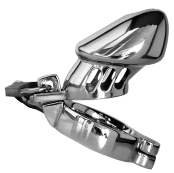 a picture of a chrome metal male chastity cage on a clear background