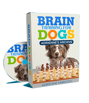 a dog sitting on a table with a dvd