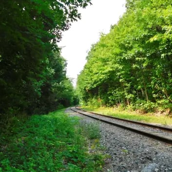 Boisé Tequenonday, chemin de fer.