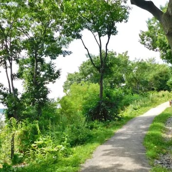 Boisé Tequenonday, sentier, fleuve.