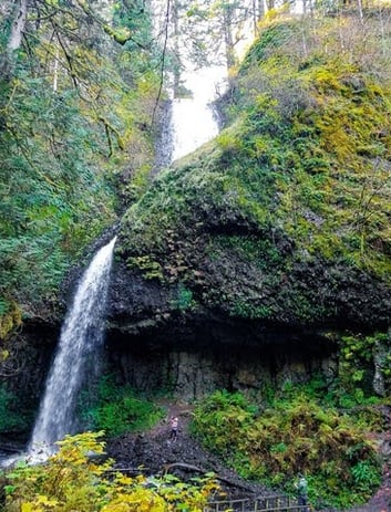 Columbia River Gorge, Oregon - Latourell Falls has upper & lower falls to view