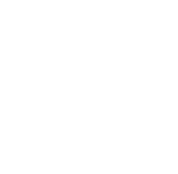 Big Boss Delivery logo