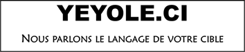 YEYOLEAFRICA logo