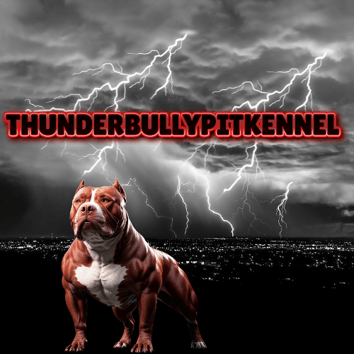 Thunderbullypitkennel logo