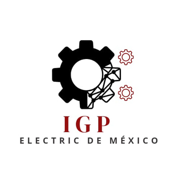 IGP ELECTRIC DE MEXICO logo
