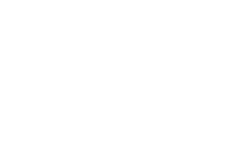 Drive To Safe logo