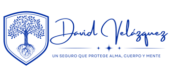 David Velazquez logo