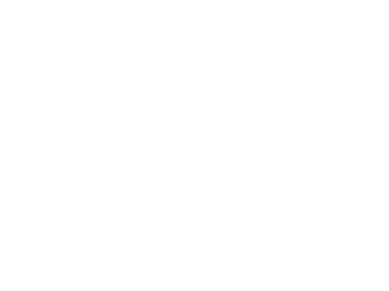 Vanitty Centro Estetico logo