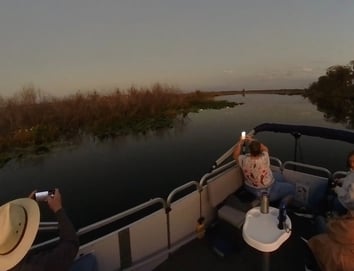 Night Gator Tour