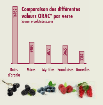 a chart of different fruits and berries on a white background