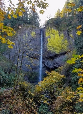 Columbia River Gorge, Oregon - the impressive Latourell Falls drop 224 feet