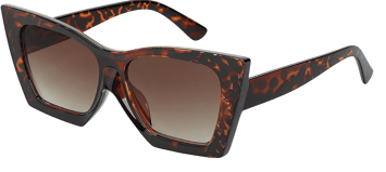 Oversized & Geometric sunglasses 