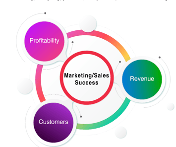 What is Marketing/Sales Success