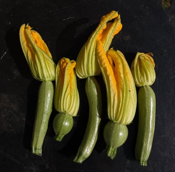 Mini courgettes with flowers attached