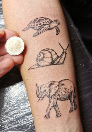 tattoo, inked, tattooart, art, tattooartist, details, dotwork, small tattoo, snail, elephant, 