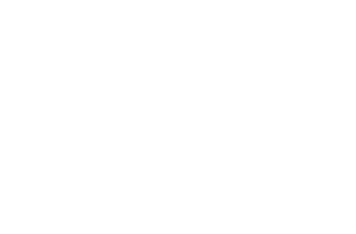 F.M. VINTAGE MOTORS logo