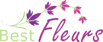 BestFleurs logo