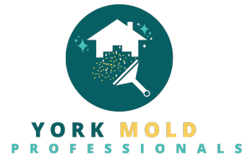 Mold Remediation York PA Solutions logo