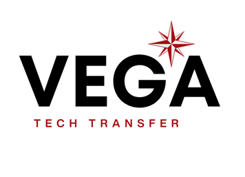Vega strategy and innovation compass logo