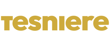 Vincent Tesniere logo