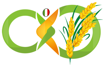 Success Infinity 1 logo