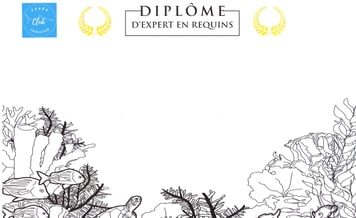 diplôme expert requins Shark Education Club