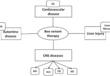 Bee Therapy  the Benefits and Uses of Bee Venom (1)