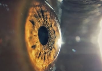 Corneal Care