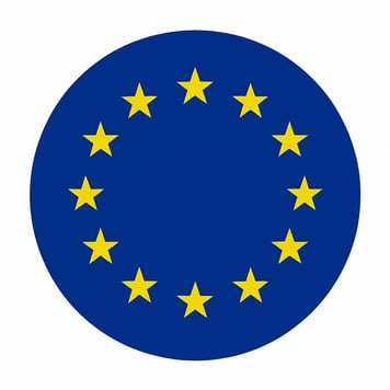 a circular blue and yellow flag with stars