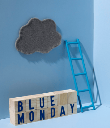 Blue monday, inceritude, bilan professionnelle, fatigue, orientation, formation DECLIC