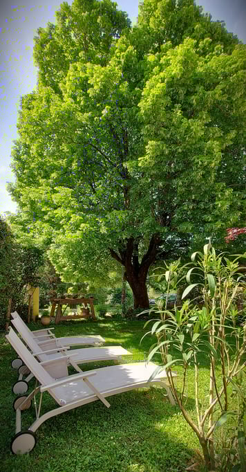 Jardin privatif pour se relaxer