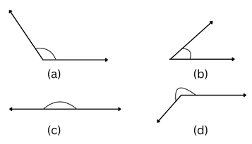 NAPLAN Year 5 Geometry