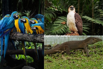 Explore the nature