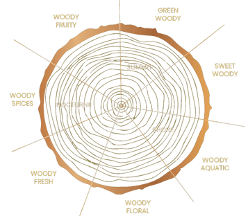 Diagram of KAYANA Smell Spectrum