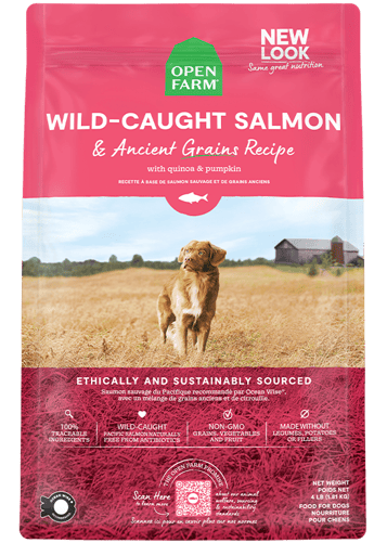 a dog is standing in a field with a bag of wild caught salmon