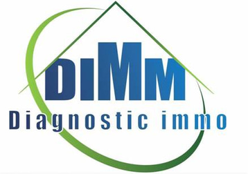 DIMM Diagnostic Immo logo